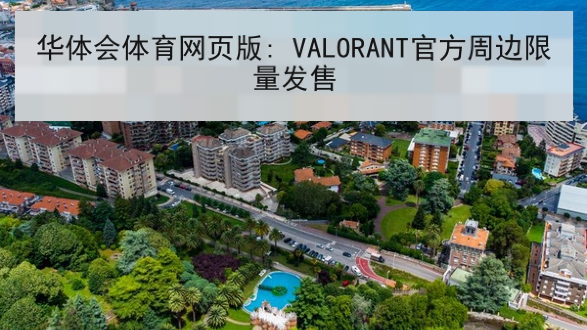 华体会体育网页版: VALORANT官方周边限量发售