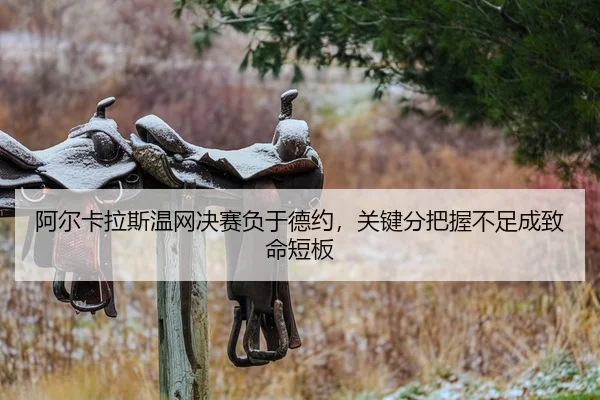 a-er-ka-la-si-wen-wang-jue-sai-fu-yu-de-yue-guan-jian-fen-ba-wo-bu-zu-cheng-zhi-ming-duan-ban-2-173.jpg